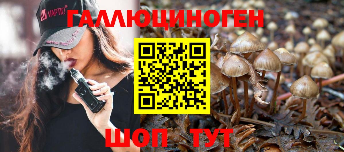 Псилоцибиновые грибы GOLDEN TEACHER Первоуральск