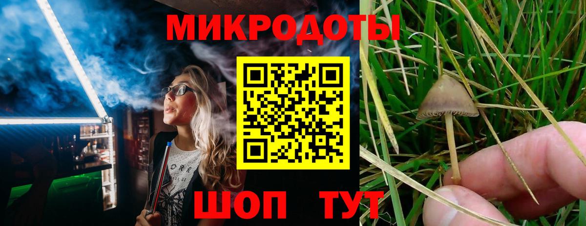 Псилоцибиновые грибы Psilocybe  Псилоцибиновые грибы ЛСД  Вход с VPN  Первоуральск 